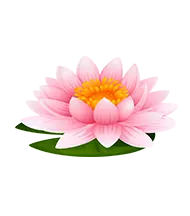 shape-img